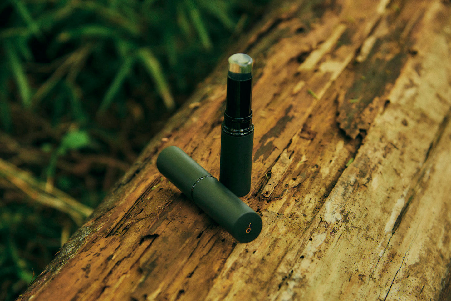 I am Love (Japan Edition)